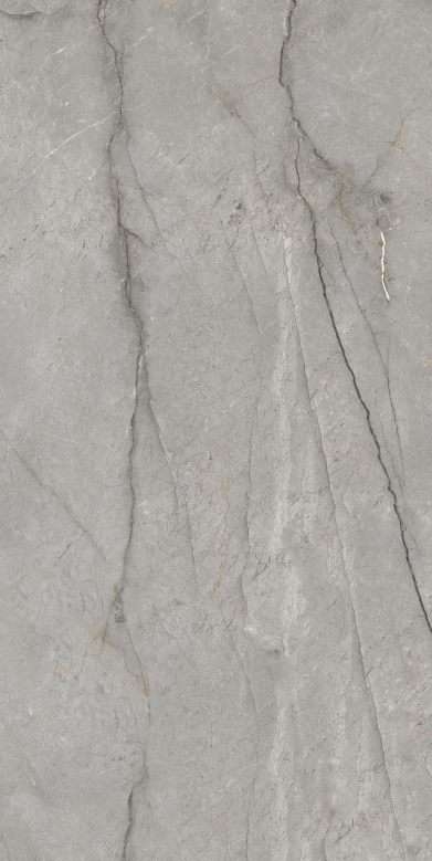 Description of Image 1